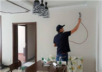 室內空氣污染辣么嚴重，為什么是最好的選