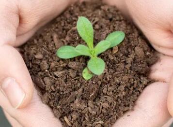 為什么要做土壤檢測？