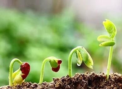 土壤質量檢測指標和評價方法