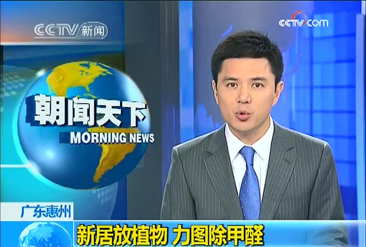 光觸媒和植物除甲醛哪個效果好？央視新聞有答案