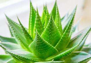 光觸媒除甲醛的原理是什么？