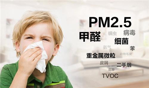 拒絕裝修空氣污染，趕走室內有害氣體