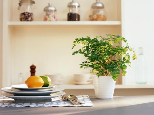 新房裝修害怕甲醛超標?煙臺甲醛檢測總結常用的除甲醛方法