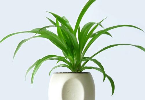 中山甲醛檢測公司怎么打造安全無污染的健康空氣環境