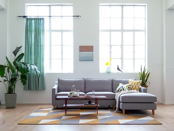 新房子除甲醛用什么好