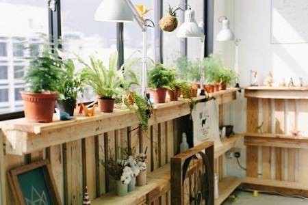 新房裝修除甲醛有哪些方法