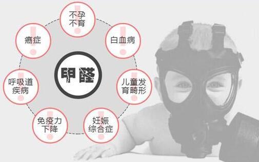 裝修好的新房怎么去除甲醛效果好