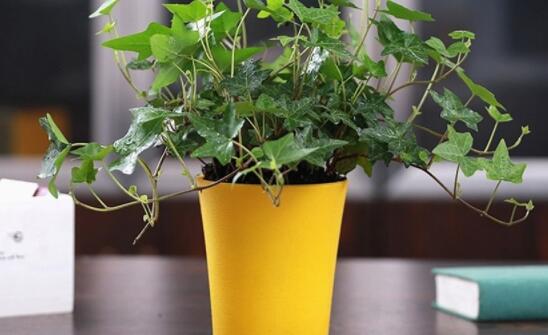 現在簡單的測甲醛的方法都有哪些？