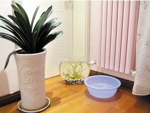 老司機教你：裝修完新房如何去除甲醛?