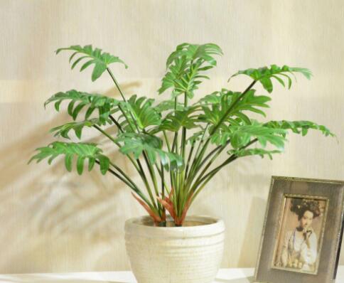 新房裝修如何用通風除甲醛呢？