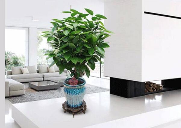 冬季室內甲醛需做好預防和治理