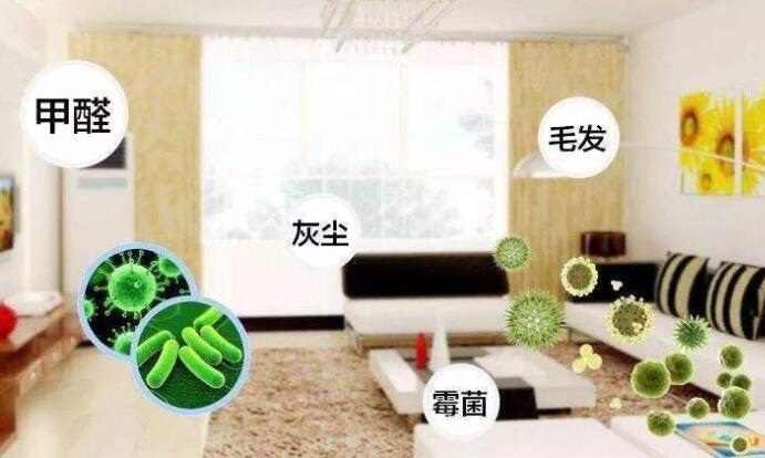 室內(nèi)除甲醛：白醋洋蔥除甲醛，用完了炒來吃？