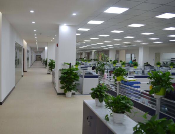 辦公室原來還能這樣去除甲醛